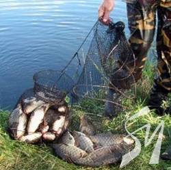 ������� ������������������ ���� � ��������� ����